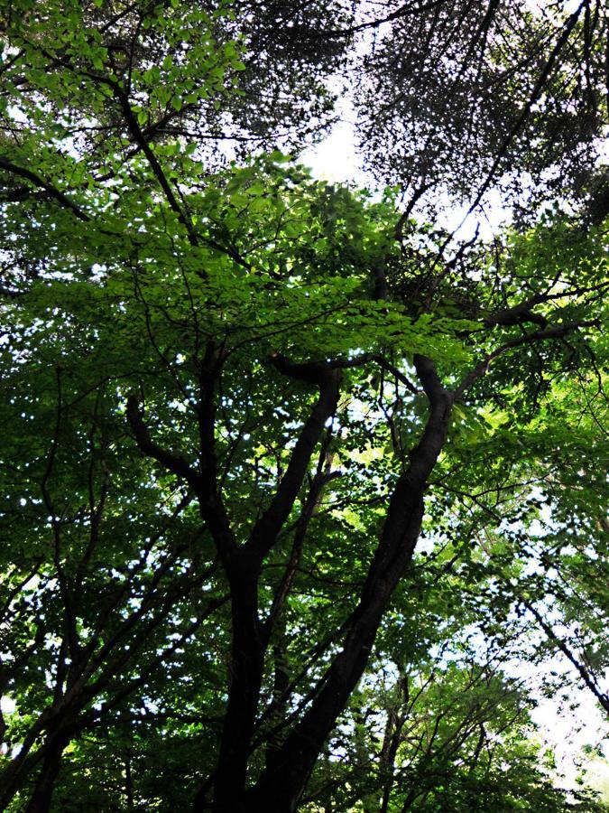 大人スイート 那須高原 結 Cottage Nasu Exterior foto